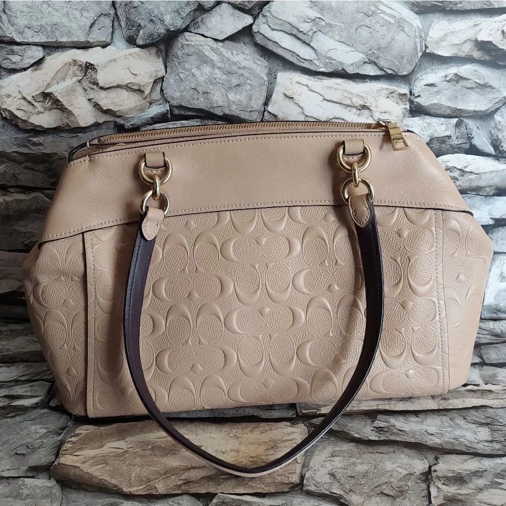 BROOKE CARRYALL IN SIGNATURE LEATHER (COACH F25952)